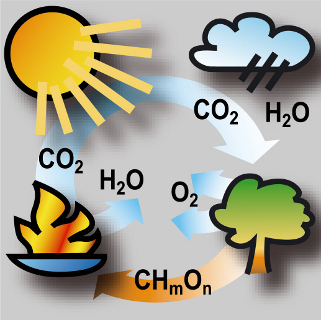 Co2 cycle240 1